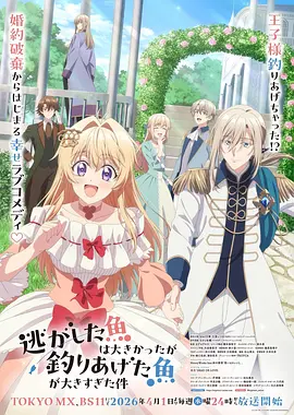 动漫片子银弦幻想曲